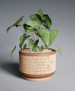 Planter Pot Ramen with Rounded Base