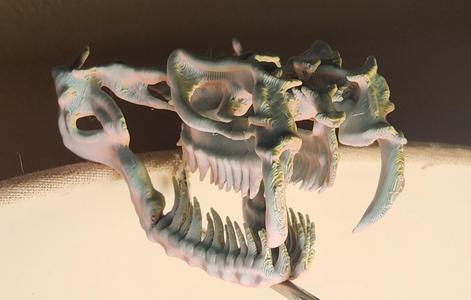 “Venomous” Snake Skull