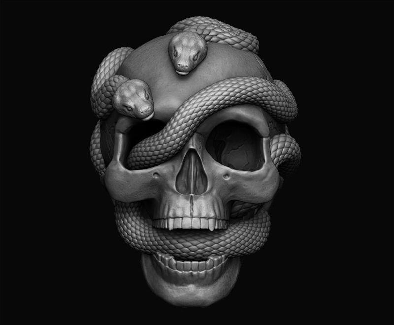Skull with snakes