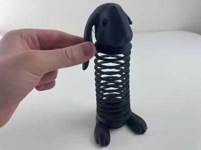 Cute Bunny Slinky