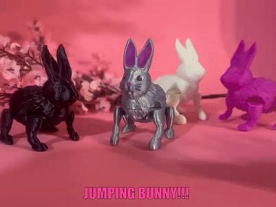jumping Bunny !!!