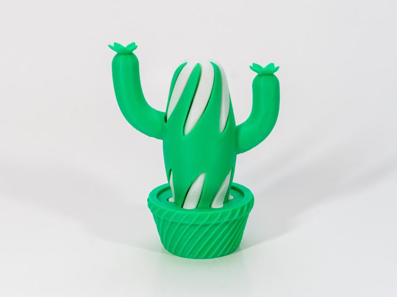 Tall Cactus Passthrough