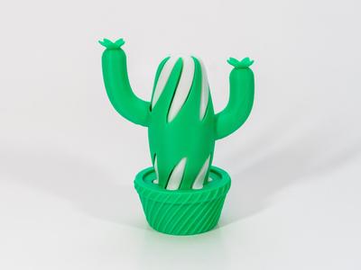 Tall Cactus Passthrough