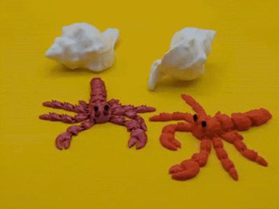 Articulated hermit crab