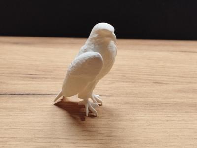 Eagle sculpture
