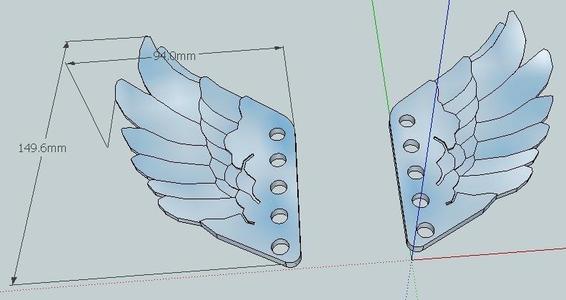 Wings For Your Shoes