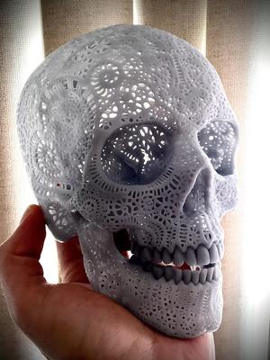 Filigree Anatomical Skull – Pre-supported STL