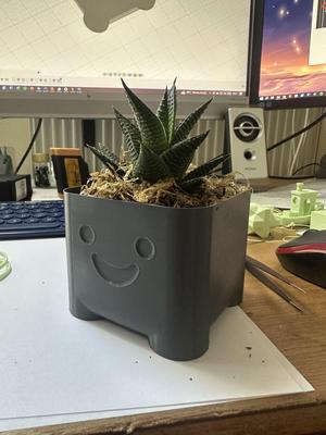 Cute Planter Tim Vase Mode
