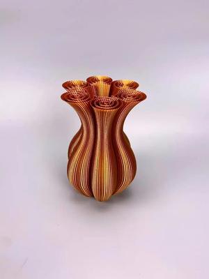 Hexacoil Vase