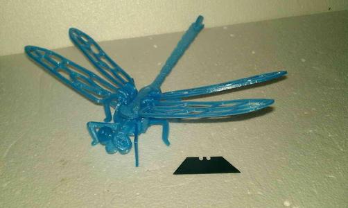 Dragon Fly puzzle