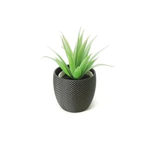 Brilliant Flower Pot