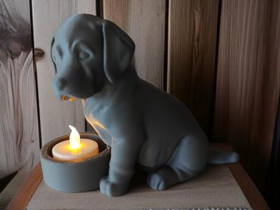 Labrador’s Little Light