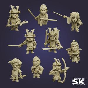 Samurai & Ronin