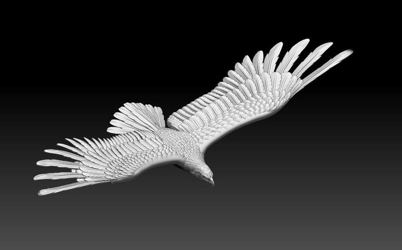 eagle in flight