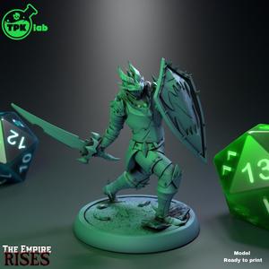 Dragon Swordsman