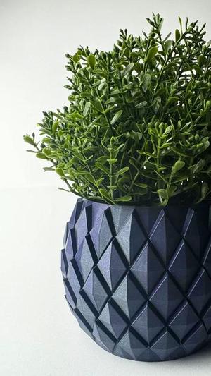 Planter Rombus