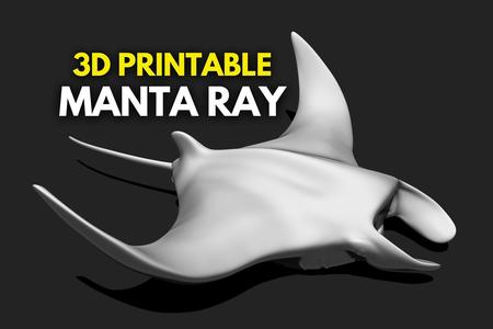 Manta Ray – Mantas – 3D Print – Aquarium