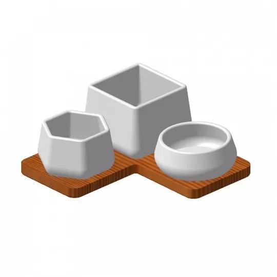Succulent Caudex Pots