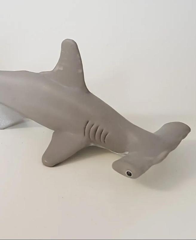 Hammerhead Shark