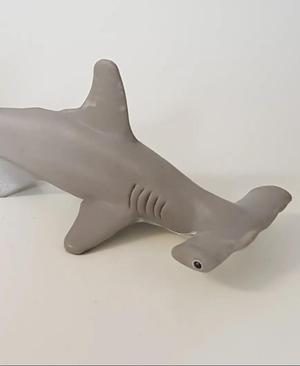 Hammerhead Shark