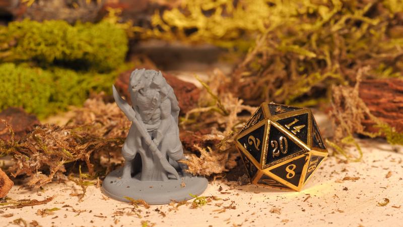 Dragonborn – Tabletop Miniature