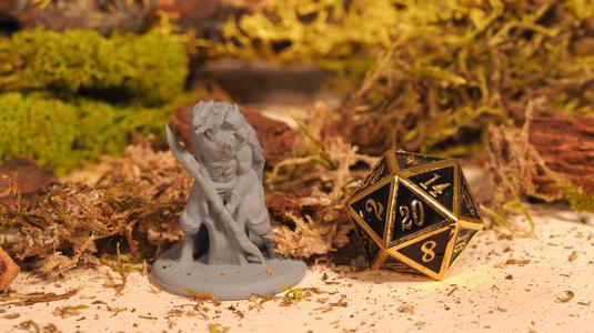 Dragonborn – Tabletop Miniature