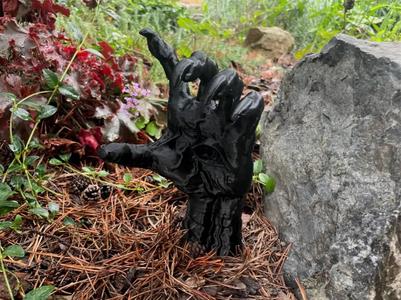The witch’s hand