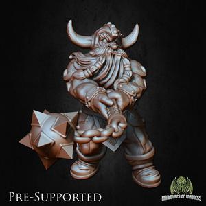 Doli The Smasher [PRE-SUPPORTED] Dwarf Fighter