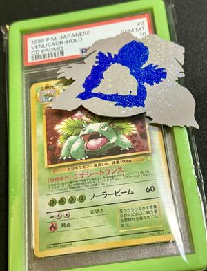 Pokémon Venusaur Evolution Collage Separate Bodies