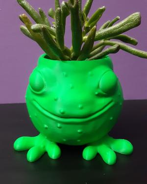 Frog Planter – Support Free