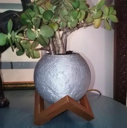 Moon Plant Pot with base