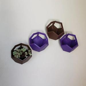Pentagon Wall Planter