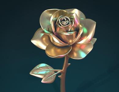 Rose Flower