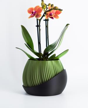 Plant Pot “Bloomcrest” | Planter STL to 3D print | Fused Drainage Pot + Drain Tray