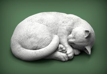 sleeping cat