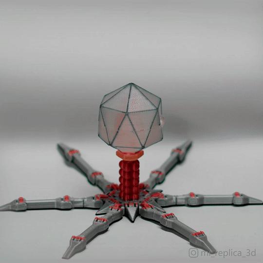 Cute Print in Place Flexi Bacteriophage T4. Support Free