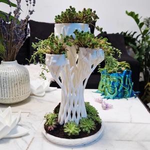 Branch Organic multi pot, Support-Free print