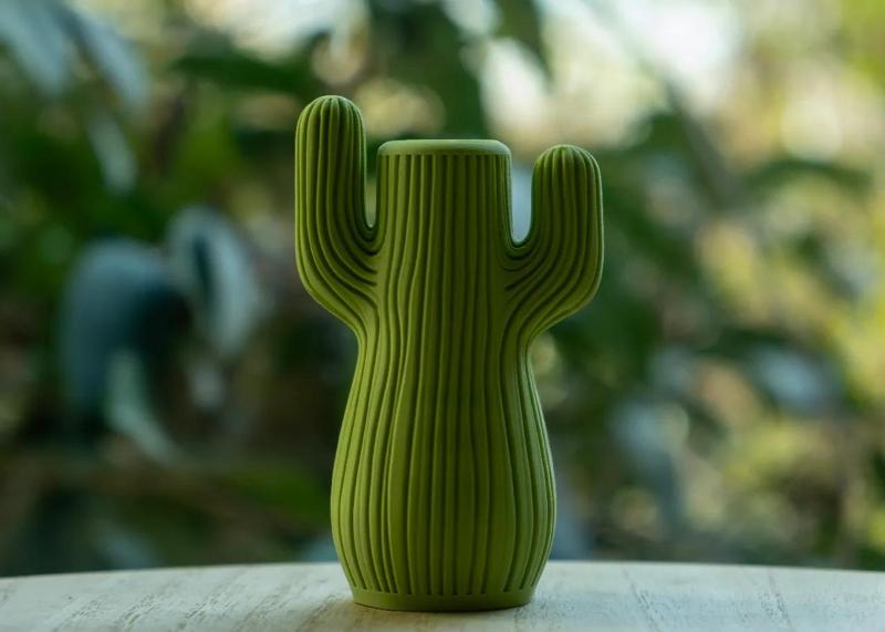Cactus Vase
