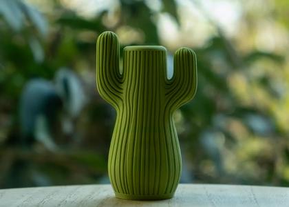 Cactus Vase