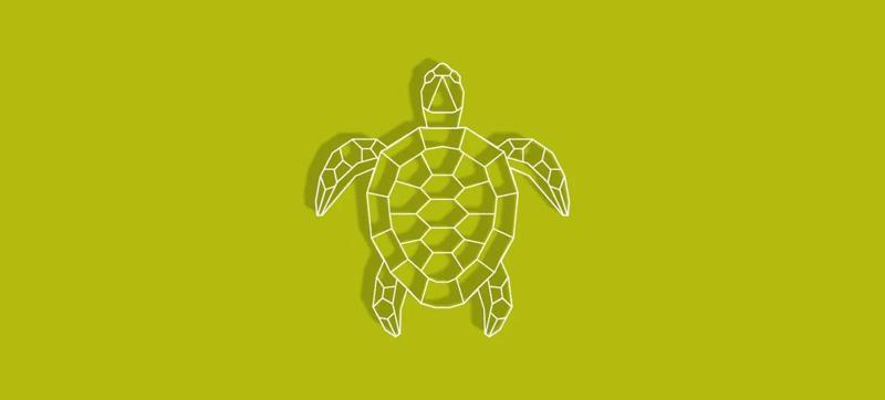 Geometric Turtle