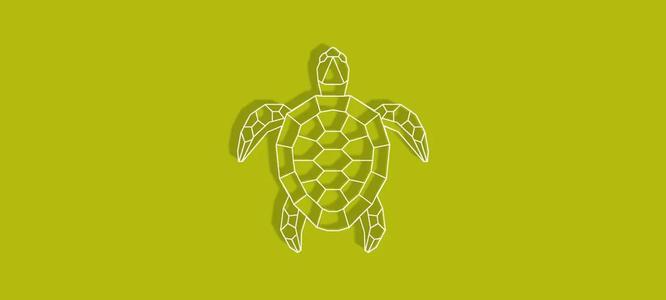 Geometric Turtle