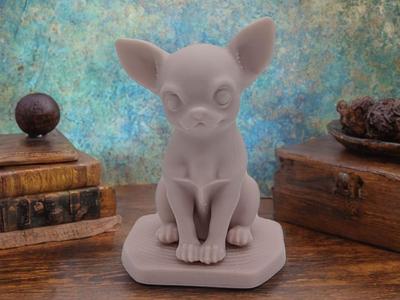 Chihuahua Charm  Small Companion Big Personality