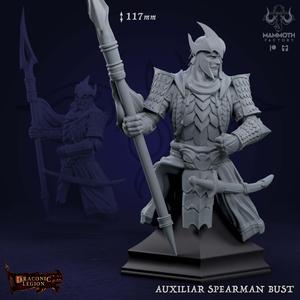 Auxiliar Spearman Bust
