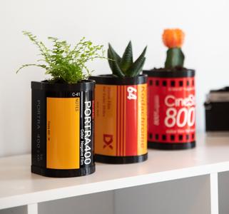 35mm Film Planter