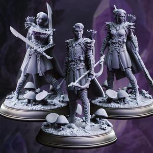 Drow Soldiers – Irinax’s Chosen