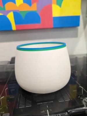 Flower Vase (Three Colors)