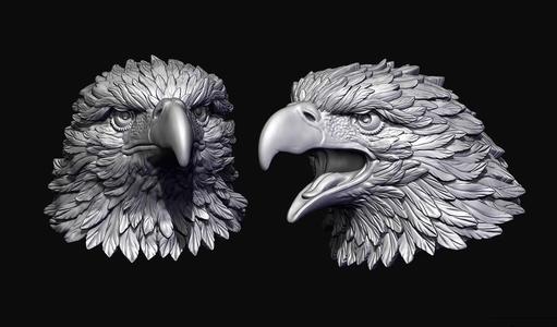 Detailed Eagle Heads