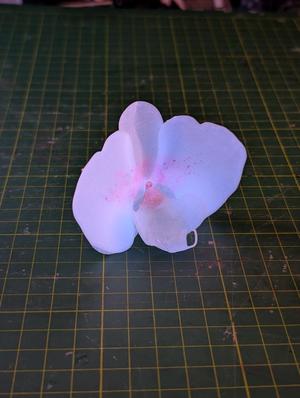 Orchid Flower – Easy Print