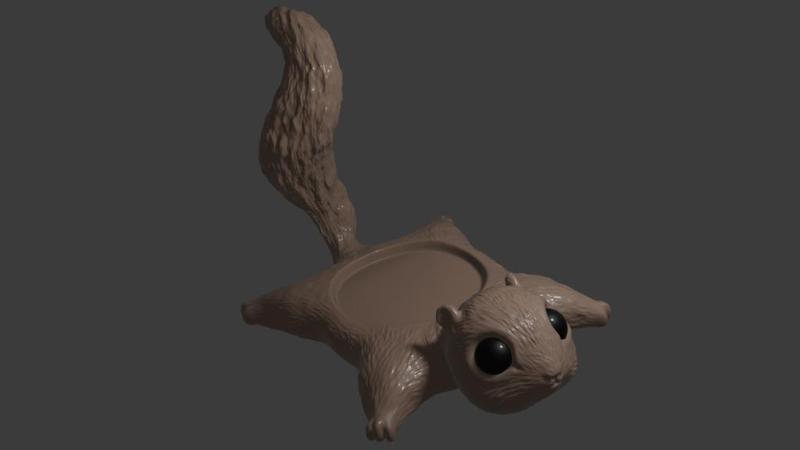 squirrel coaster