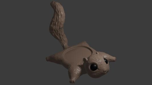 squirrel coaster
